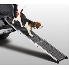 PET ACCESS RAMP