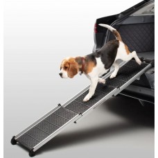 PET ACCESS RAMP
